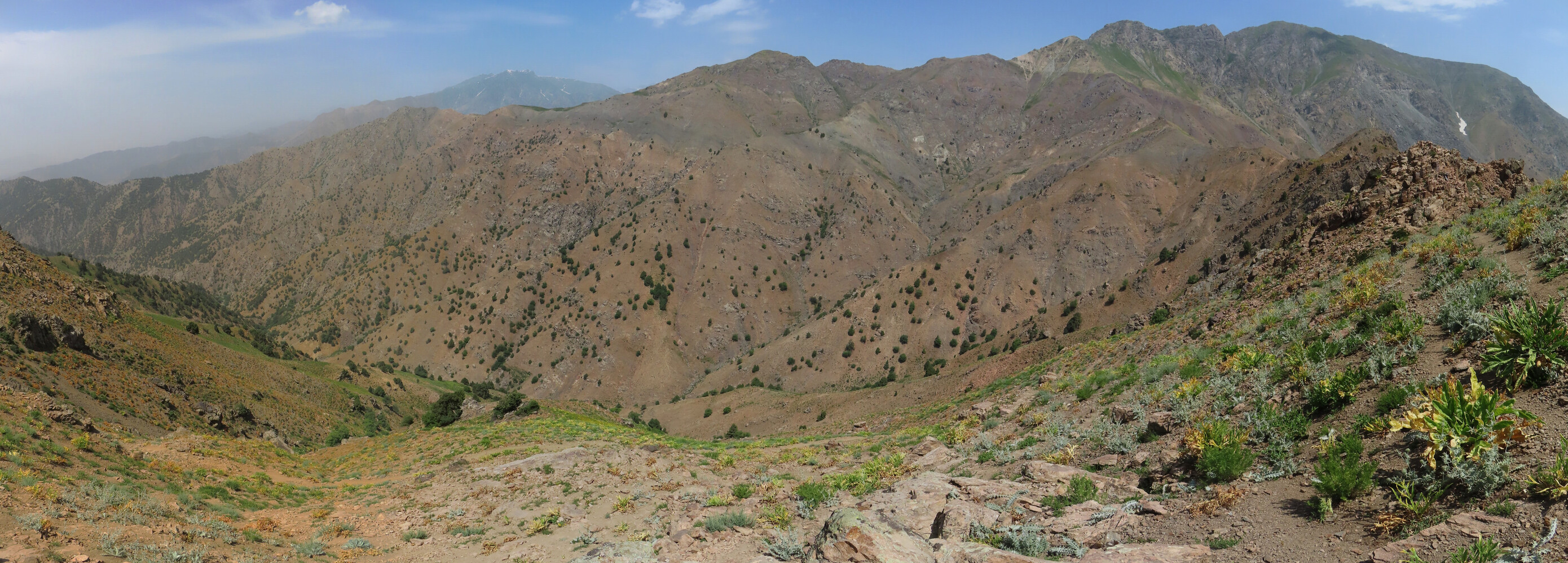  .    ,    ,   Forward view. Im walking along the ridge, a good trail, bypassing cliffs, is visible below