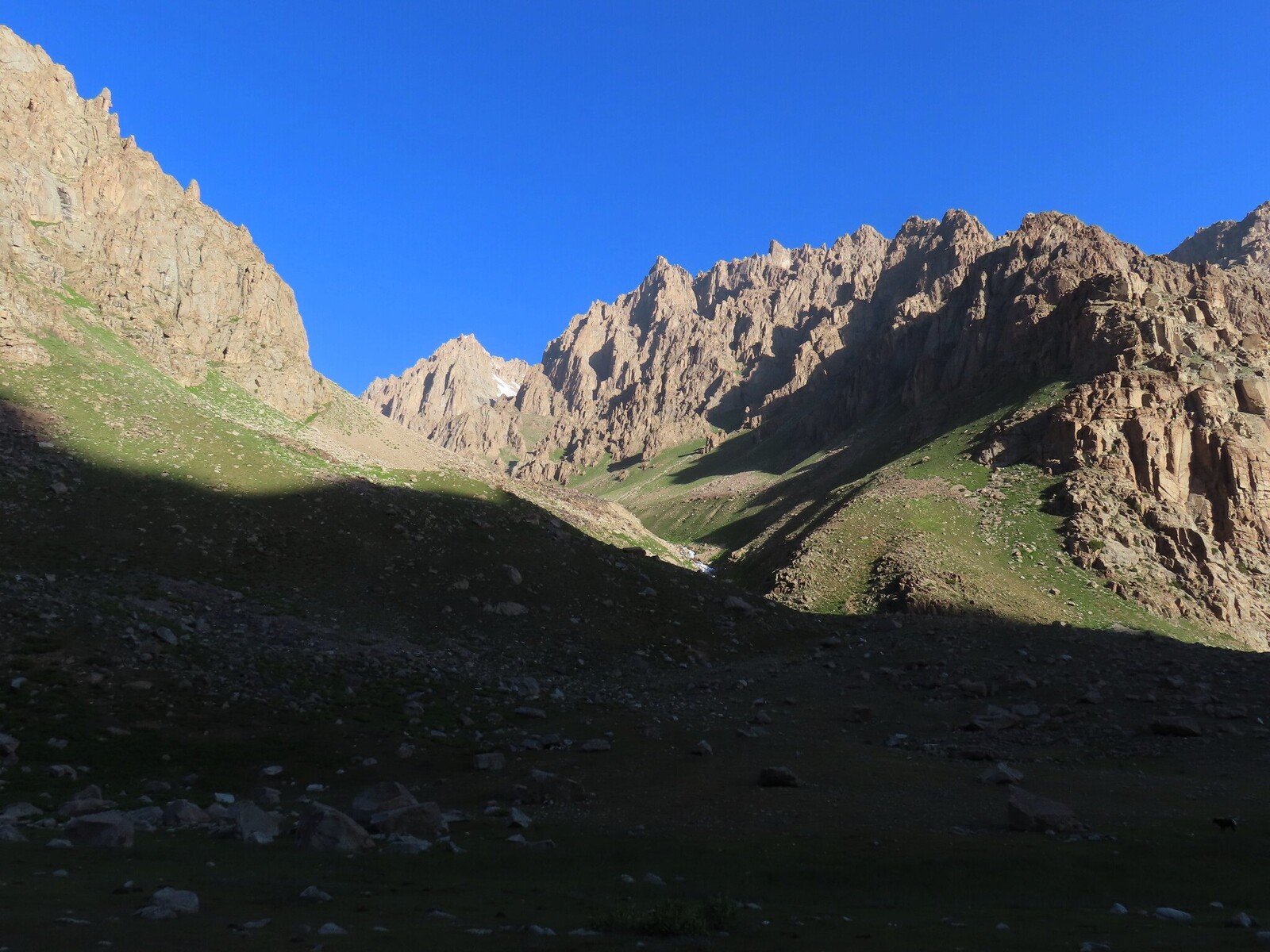   . tributary from Dikon glacier