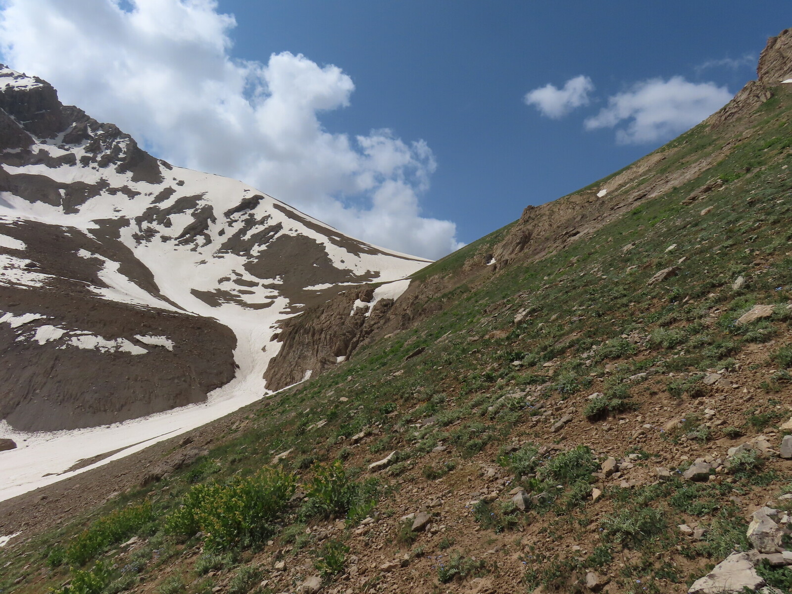      the step of the valley under the Poltava pass