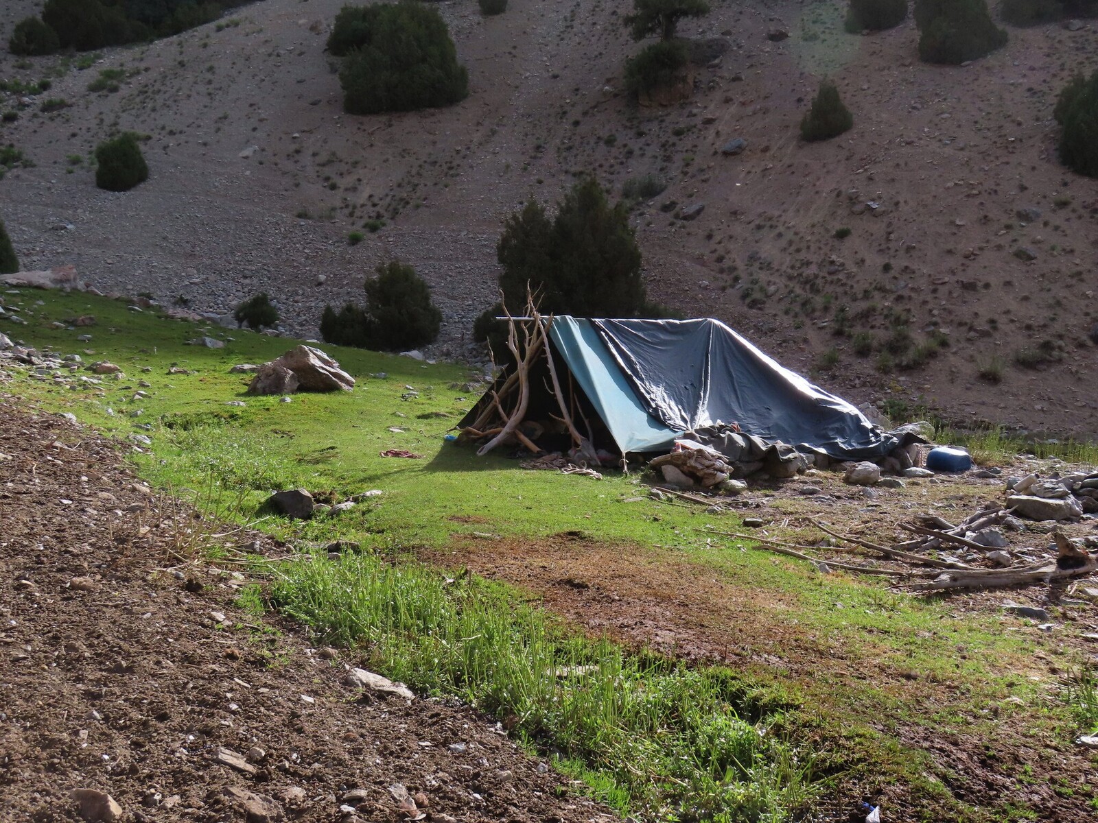   the shepherd tent