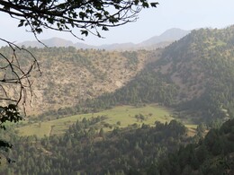 луг в верховьях долины pasture in the upper part of the valley