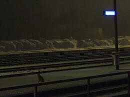ночная жизнь на станции