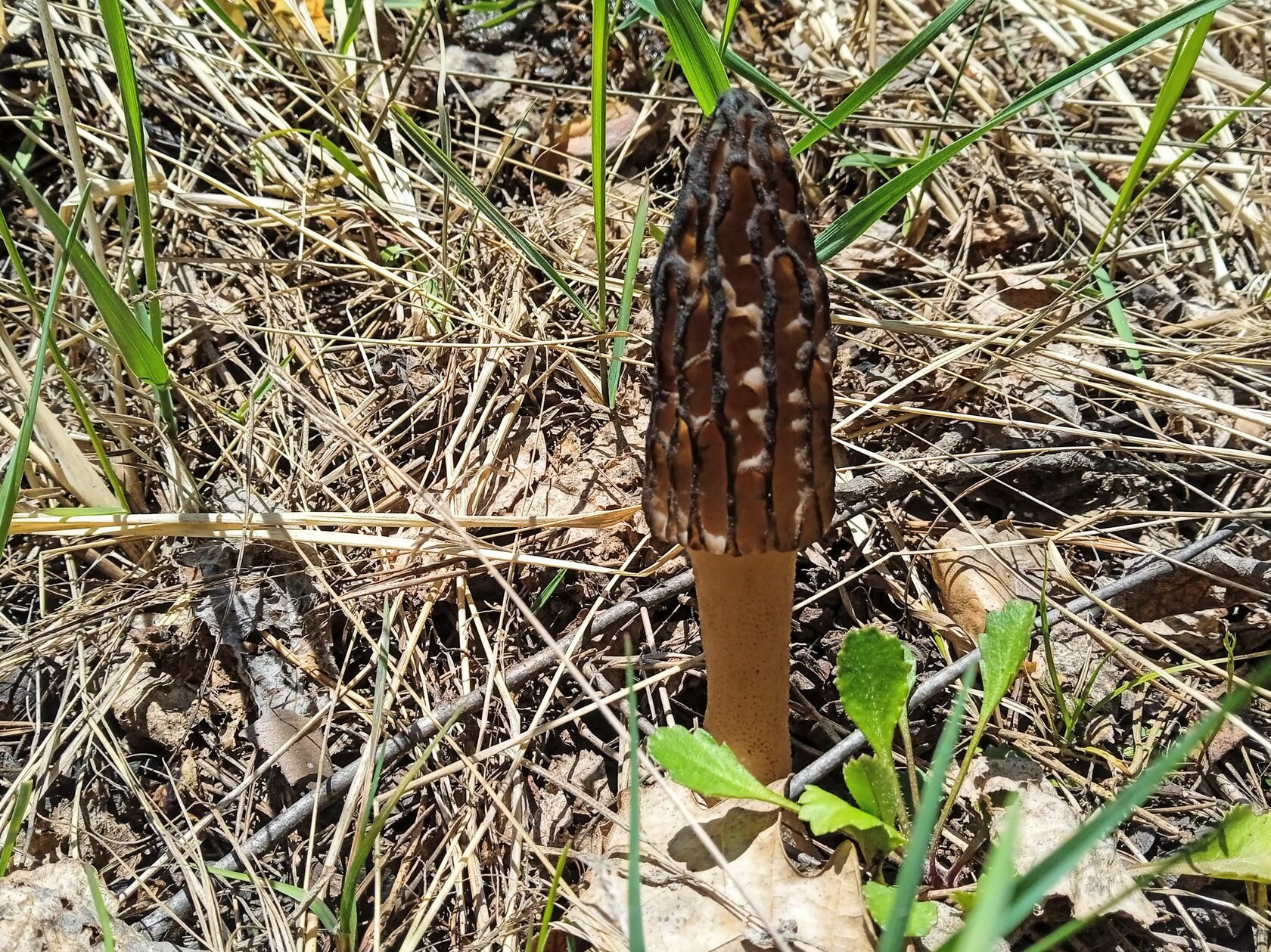 �������