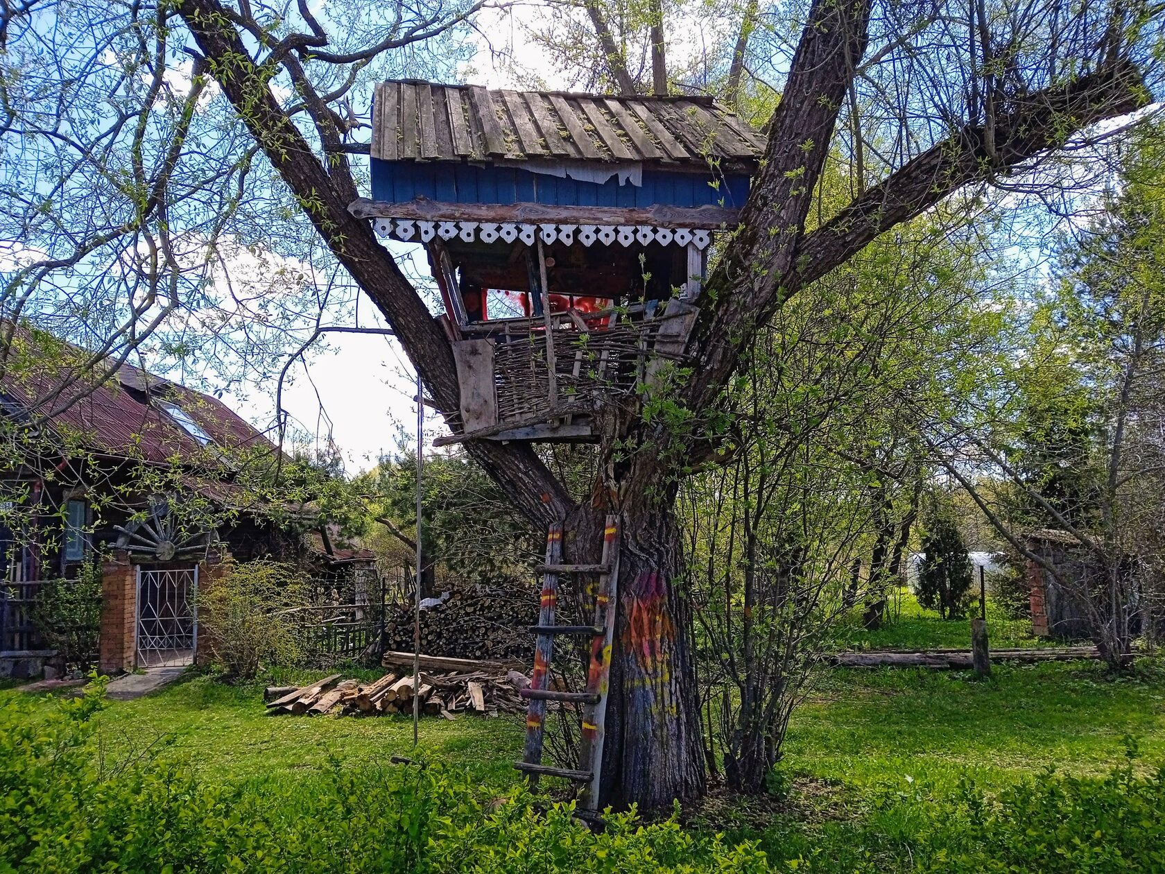 ��� ����-���