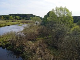 ���� ���������