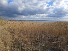 �������� �����