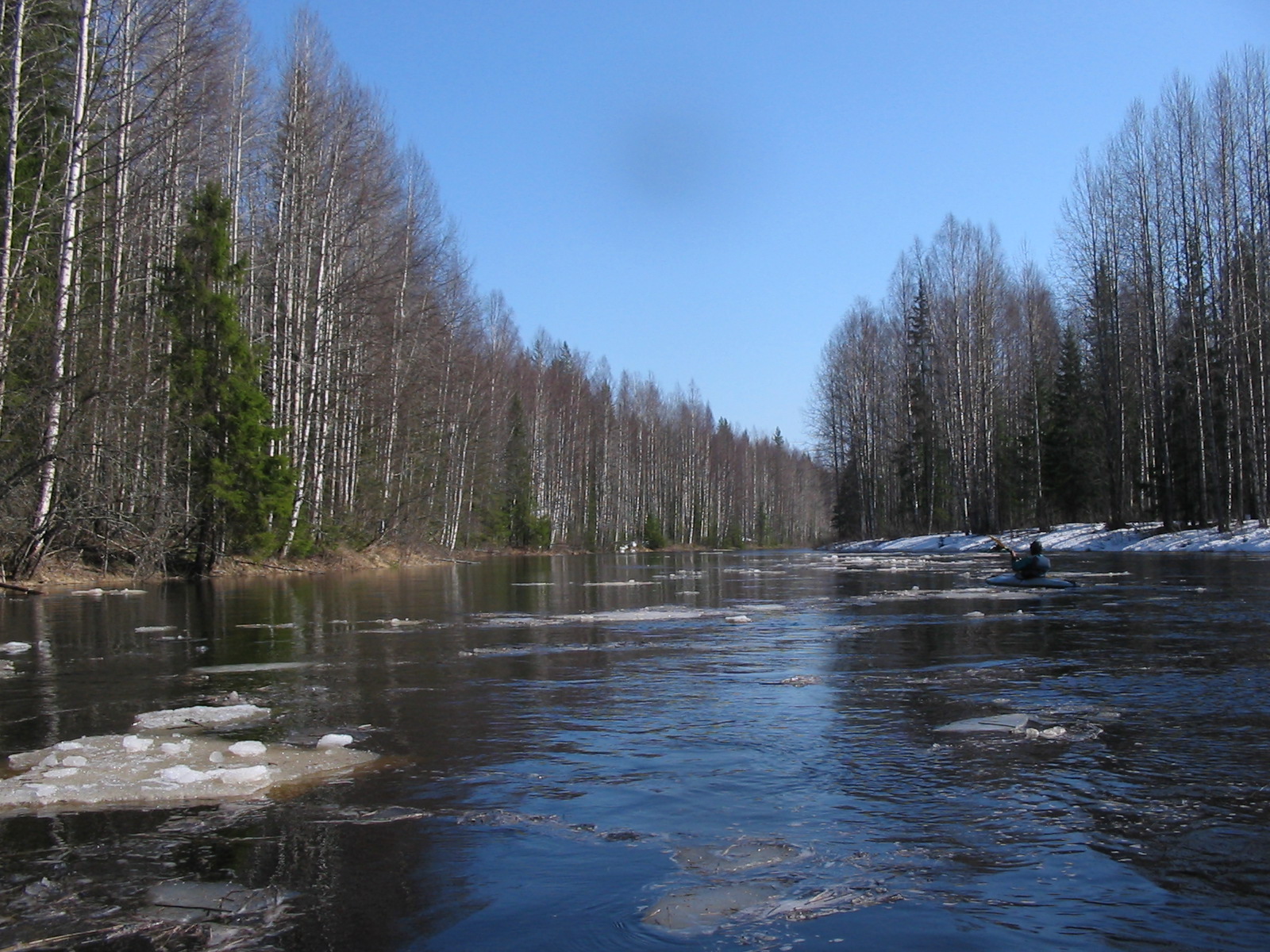 Снилось разлив воды. Половодье. Весенний паводок в лесу. Половодье в лесу. Весенний паводок в Костромской области.
