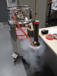 filling dewar with liquid nitrogen