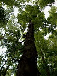 ���, ����� �����, 16 ���� 2002