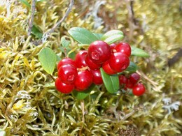 �����, 9 ������� 2002