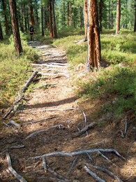 �����, 10 ������� 2002