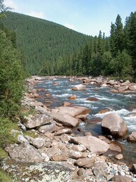 ���� �����, �����, 15 ������� 2002