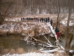 ���� �������, �����������, 8 ������ 2002