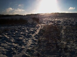 �����������, 7 ������� 2002