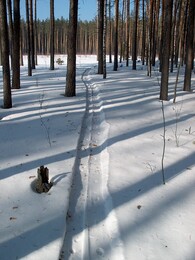 �����������, 2 ����� 2003