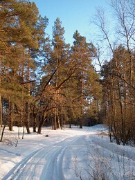 �����������, 8 ����� 2003