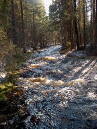 ���� ������� ���, ��������� �������������, �������, 7 ��� 2003