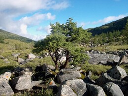 ��������� ������, �����, 26 ���� 2003