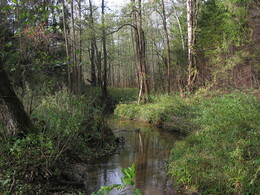 �����������, 11 ������� 2003