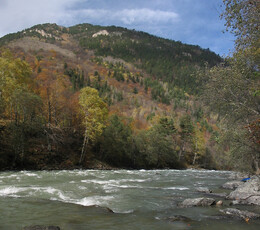 ���� ������� ��������, ������, 23 ������� 2003