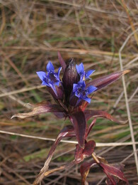 ������ ���� ������� ��������, ������, 24 ������� 2003