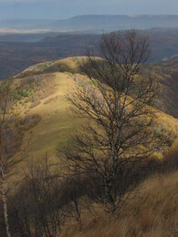 ������ ���� ������� ��������, ������, 24 ������� 2003