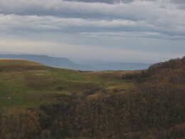 ������ ���� ������� ��������, ������, 24 ������� 2003