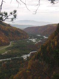 ������ ���� ������� ��������, ������, 24 ������� 2003