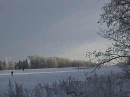 �����������, 24 ������ 2004