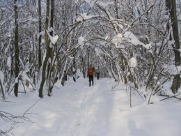 �����������, 24 ������ 2004