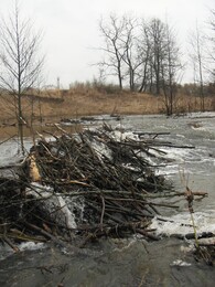 ���� �������, �����������, 27 ����� 2004