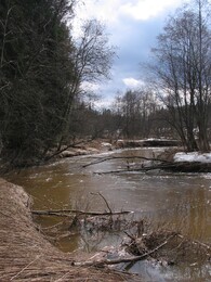 ���� ��������, �����������, 10 ������ 2004