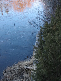 ��������, �������, 1 ��� 2004