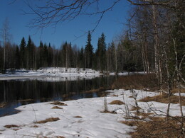 ��������, �������, 1 ��� 2004