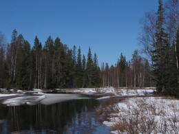 ��������, �������, 1 ��� 2004