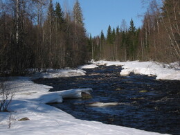 ��������, �������, 1 ��� 2004