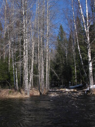 ��������, �������, 4 ��� 2004