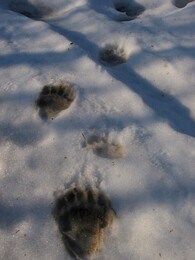 ��������, �������, 5 ��� 2004