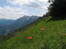 ������, ������, 3 ���� 2004