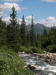 ������������ ������, 2 ������� 2004