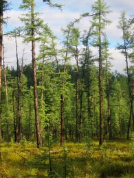 ������������ ������, 7 ������� 2004