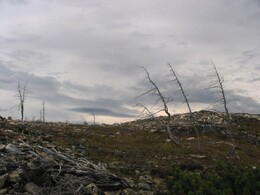 ������������ ������, 8 ������� 2004