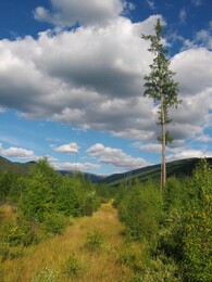 ����-������� ������, 10 ������� 2004