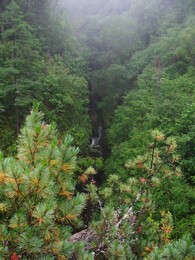 ����-������� ������, 12 ������� 2004