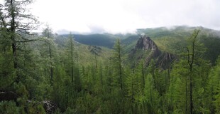 ����-������� ������, 12 ������� 2004