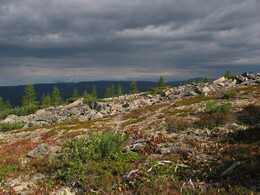 �������� ������, 15 ������� 2004