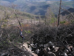 � ������� ��������, �������� ������, 22 ������� 2004