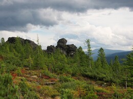 �������� ������, 24 ������� 2004