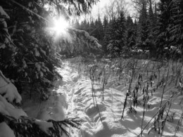 �����������, 4 ������� 2004