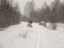 ������ ����� �������� - ����������, 22 ������ 2005